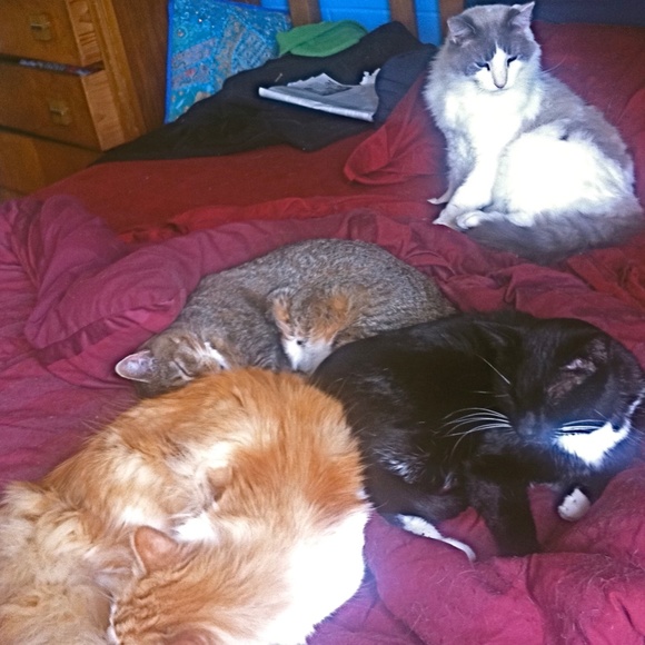 Meet your Posher, Redmontster. - Picture 5 of 15